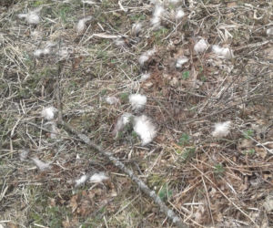 Rolnicy. Podlasie. Tragedia u jednego z bohaterów. Fani są w szoku [ZDJĘCIA]