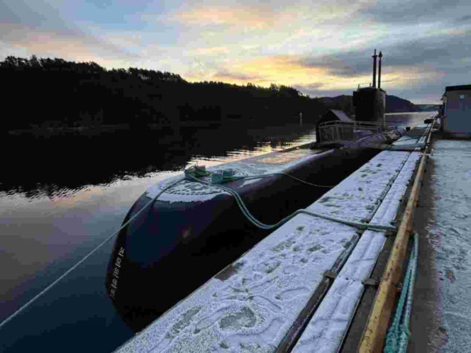 Manewry pk. "Arctic Dolphin 26"