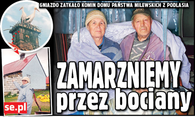 Zamarzniemy przez bociany