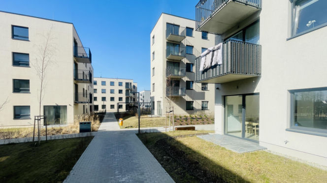 Katowice, osiedle mieszkań na wynajem przy Korczaka