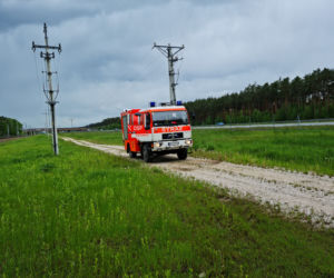 Mała sarenka uwięziona przy autostradzie pod Tarnowem. Uwolnili ją strażacy