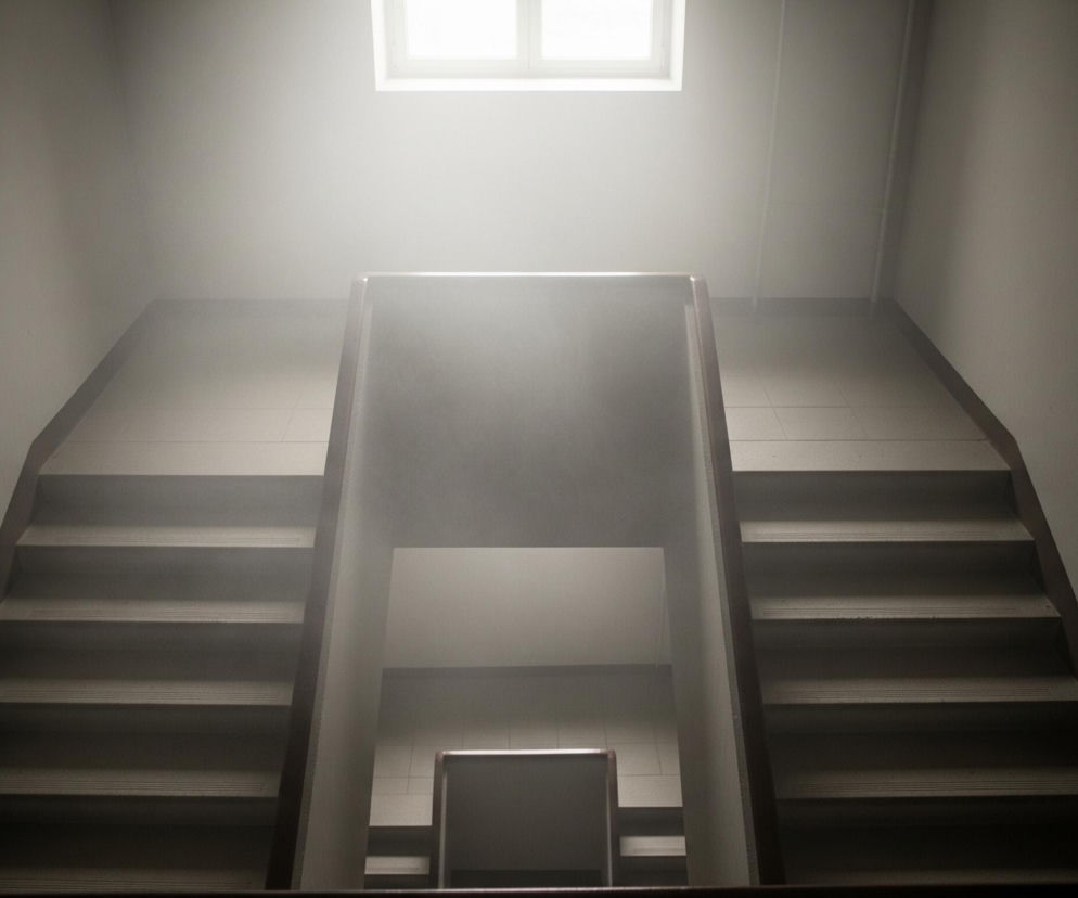 Centralnym punktem obrazu jest klatka schodowa widziana z góry, z perspektywy skierowanej w dół, rozświetlona smugą jasnego światła. Dwa równoległe biegi schodów po bokach prowadzą w dół, z widocznymi kilkoma stopniami o jasnoszarych powierzchniach i ciemniejszych podstopnicach. Pomiędzy biegami schodów znajduje się prostokątna przestrzeń otwartej klatki schodowej, otoczona ścianami, która w głębi przechodzi w kolejny, ciemniejszy poziom, z widoczną balustradą na pierwszym planie. U góry, ponad klatką schodową, widoczne jest prostokątne okno, z którego bije intensywne, jasne światło, tworzące efekt mglistej poświaty wypełniającej przestrzeń. Całość utrzymana jest w stonowanej kolorystyce szarości, bieli i beżu, z kontrastującymi obszarami cienia i światła.