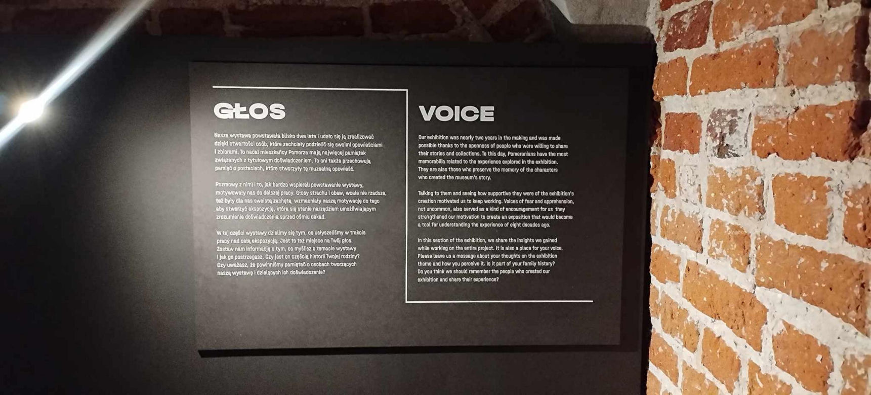 Wystawa Muzeum Gdańska "Nasi chłopcy" 
