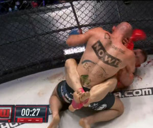 KSW 69: Krwawa rzeźnia w klatce