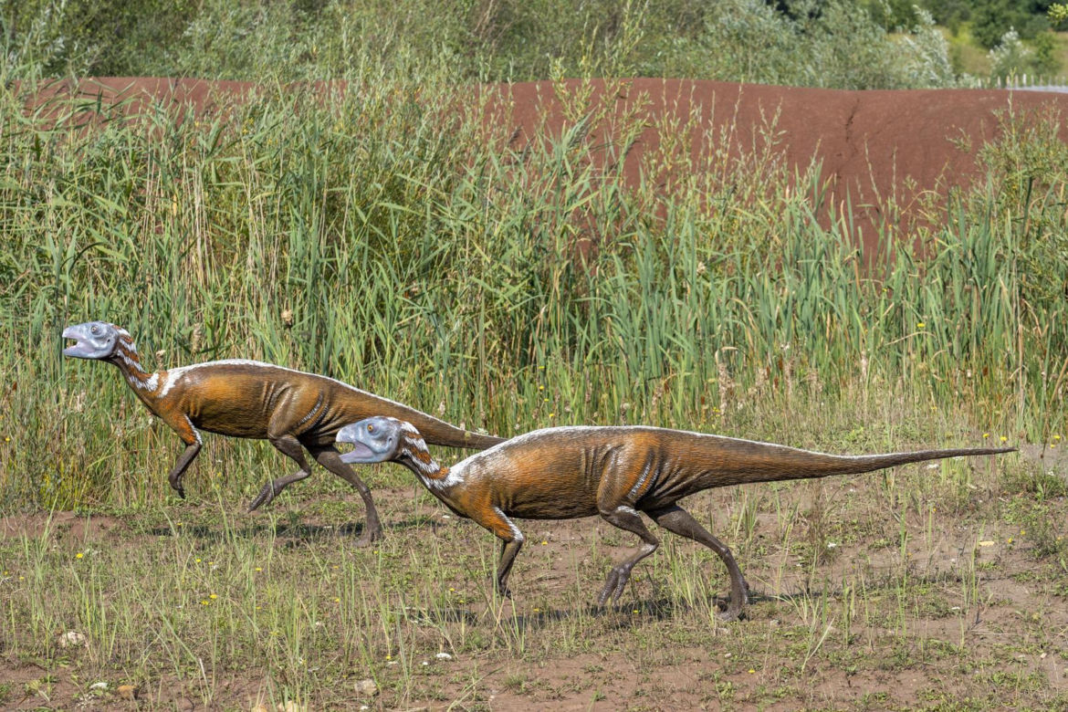 JuraPark Krasiejów