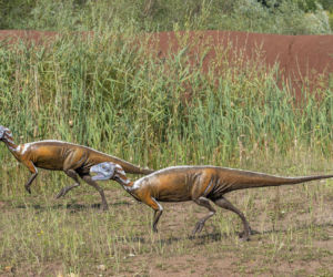 JuraPark Krasiejów