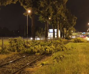 Szkody po nawałnicy w centrum Łodzi 