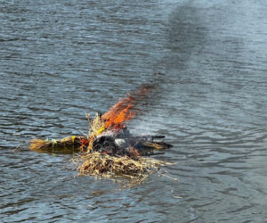 Marzanna spłonęła, a zima uciekła! Tak Lublin przywitał wiosnę w Skansenie [ZDJĘCIA]