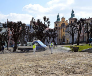 W Przemyślu odkażają Szwejka i niedźwiedzia