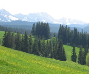 Widok na Tatry z Murzasihle