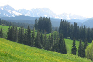 Widok na Tatry z Murzasihle