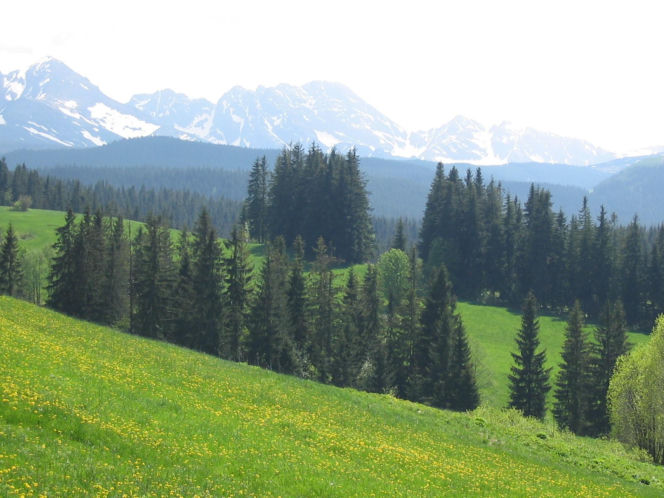 Widok na Tatry z Murzasihle
