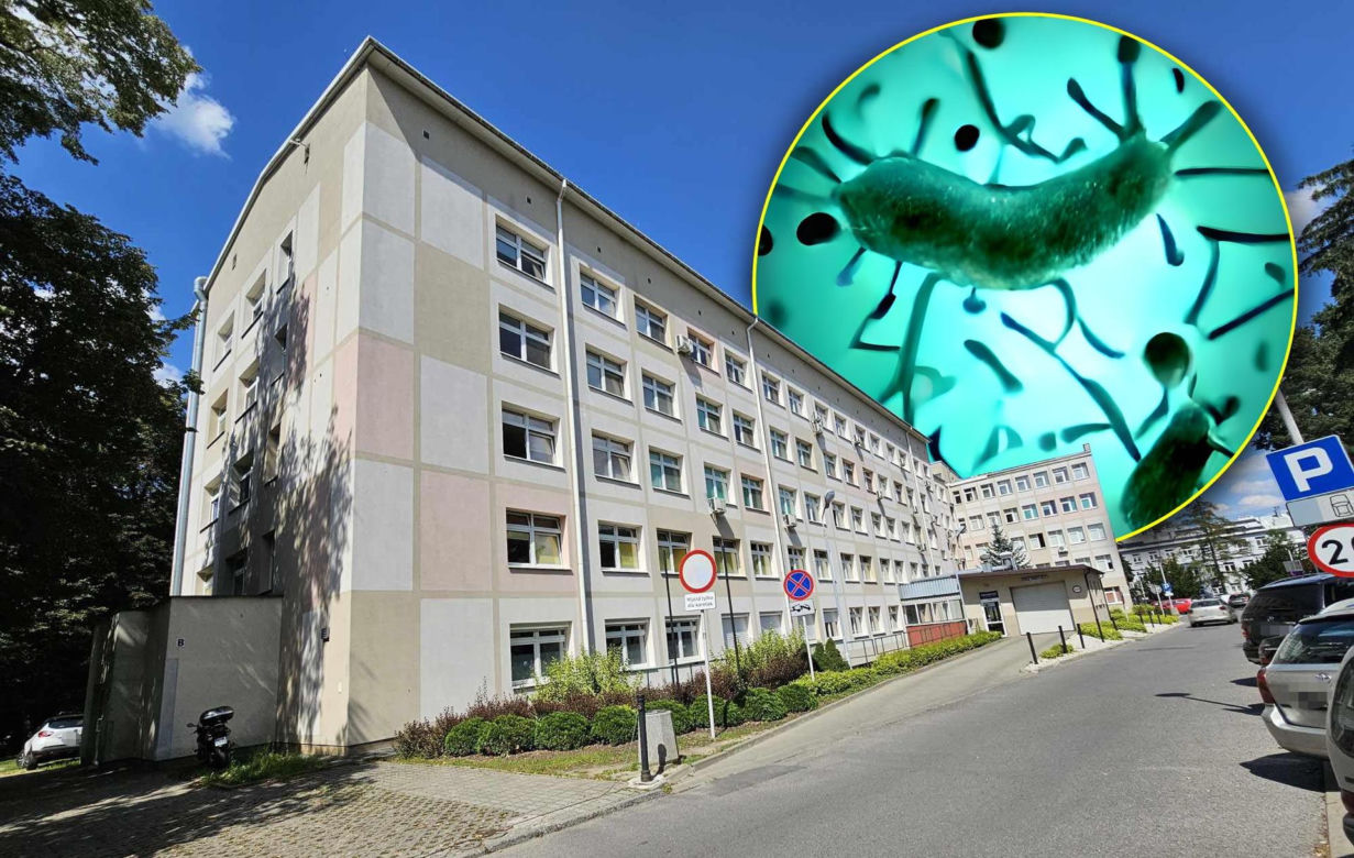 Legionella w Rzeszowie. Mieszkańcy nie boją się bakterii