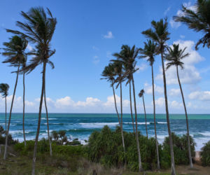 Królowa Przetrwania 3, odcinek 5