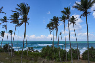 Królowa Przetrwania 3, odcinek 5