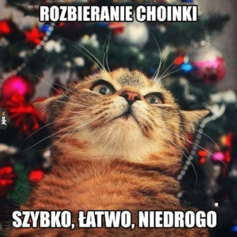 Śmieszne obrazki, które rozbawią każdego