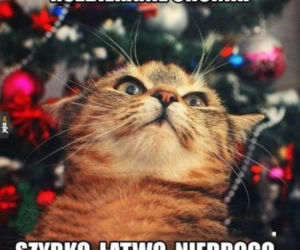 Śmieszne obrazki, które rozbawią każdego