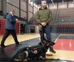 Psy służbowe, szkolenia i strefa pierwszej pomocy. Trwa drugi dzień CERBERUS K9 w Ostrowie