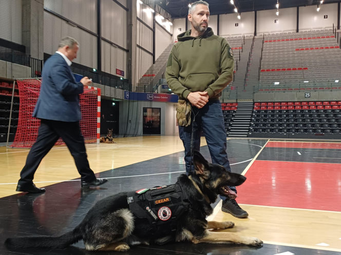 Psy służbowe, szkolenia i strefa pierwszej pomocy. Trwa drugi dzień CERBERUS K9 w Ostrowie