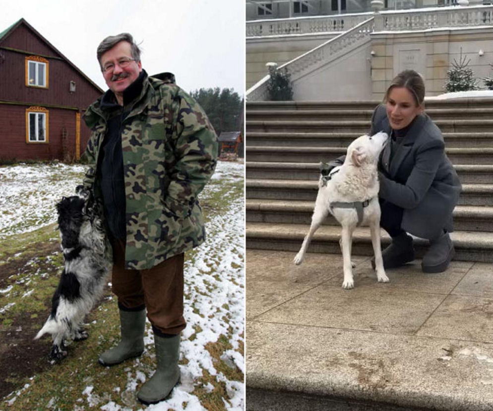 Pieski w Pałacu Prezydenckim