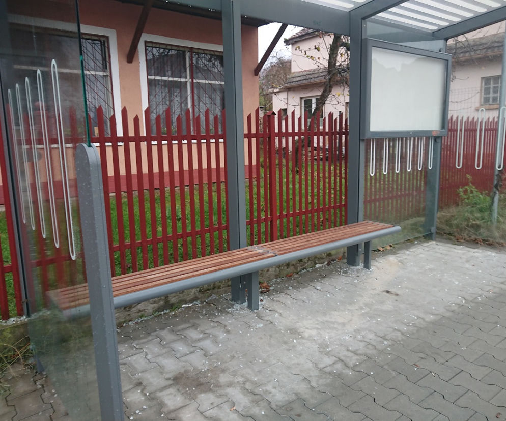 Gorzów  wiata