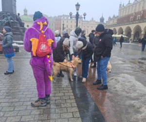 34. finał WOŚP w Krakowie. Golden Retrievery na Rynku Głównym