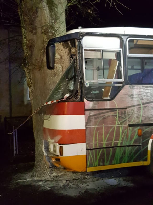 Autobus z dziećmi uderzył w drzewo! Są ranni. Dramat w Trzebiechowie [GALERIA]