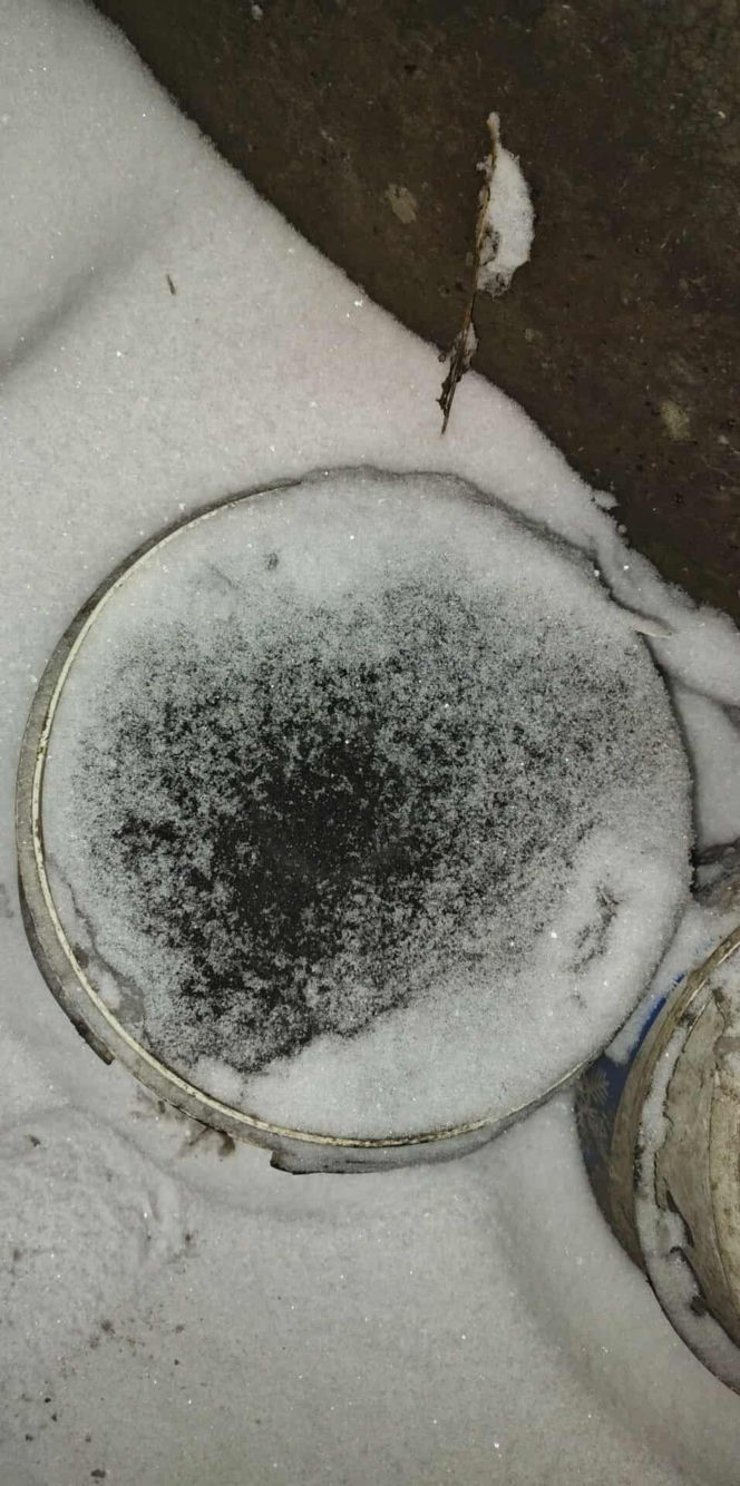 Pies konał na posesji w Dąbrowie Górniczej. Wolontariusze: "To było długotrwałe znęcanie się"