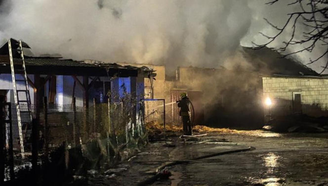 Krowa Diablica zobaczyła ogień i padła na zawał. Jarosław nie może się pozbierać. "Miałem ochotę płakać"