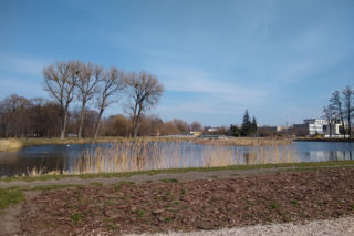 Ptasia grypa w Białymstoku. Służby apelują o ostrożność