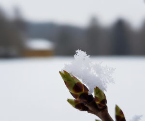 Powrót zimy do Polski. Czy Wielkanoc będzie mroźna?