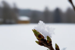 Powrót zimy do Polski. Czy Wielkanoc będzie mroźna?