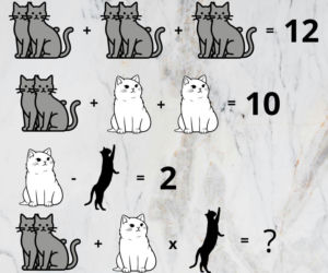 Ta łamigłówka z kotami pokonała wielu dorosłych. Dzieci rowiązują ją w 5 minut