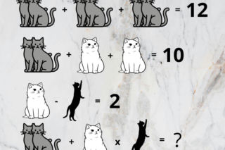 Ta łamigłówka z kotami pokonała wielu dorosłych. Dzieci rowiązują ją w 5 minut