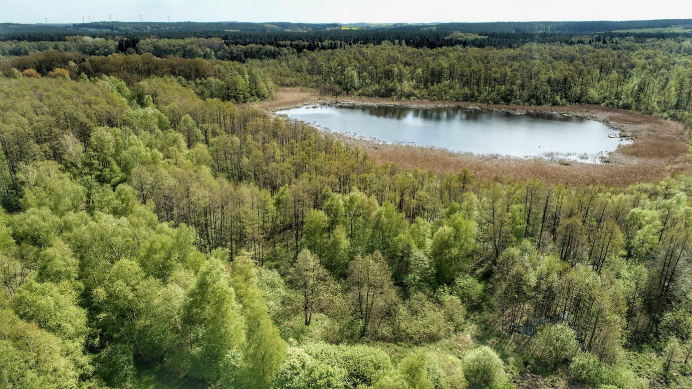 Jezioro Czarne w Lubuskiem, w gminie Świebodzin