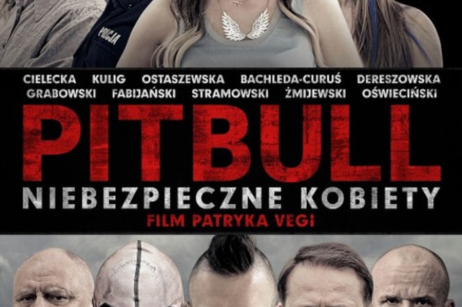 Pitbull: Niebezpieczne kobiety - kiedy i kto zagra? [VIDEO]