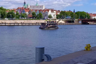 Martwe ryby w Odrze i rozlewiskach