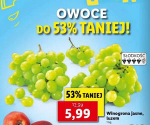 Dobre promocje w Lidlu
