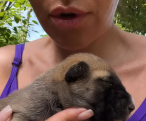 Malwina Wędzikowska miała groźny wypadek