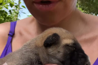 Malwina Wędzikowska miała groźny wypadek