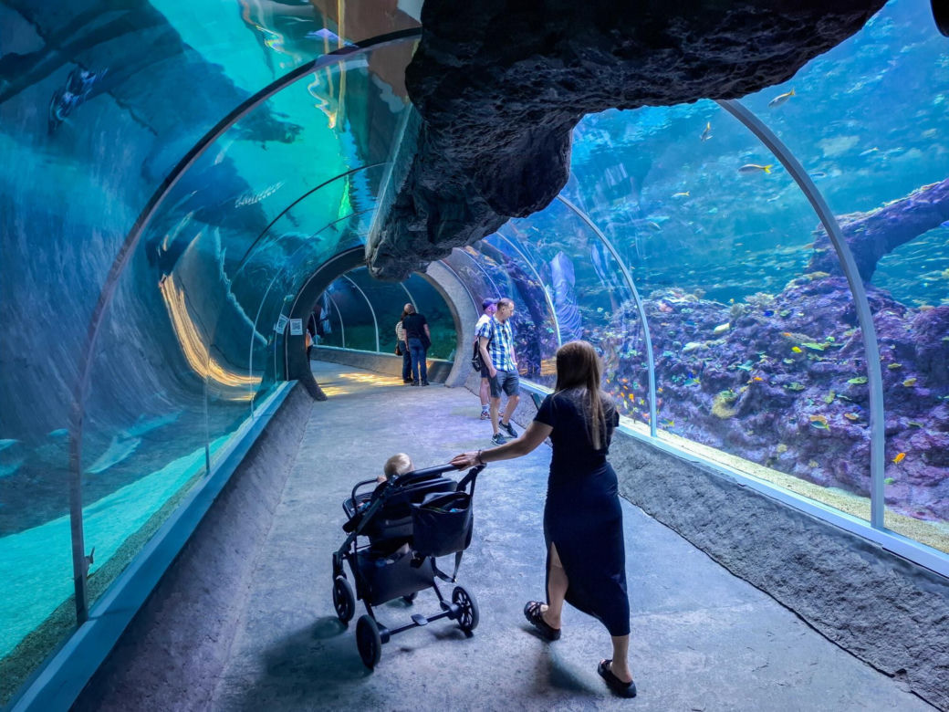 Orientarium ZOO Łódź