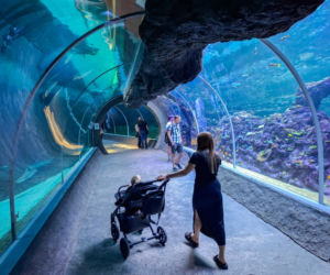 Orientarium ZOO Łódź