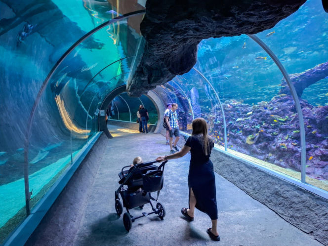 Orientarium ZOO Łódź