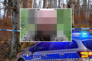 Ciało policjanta znalezione w lesie! Strzał z broni służbowej
