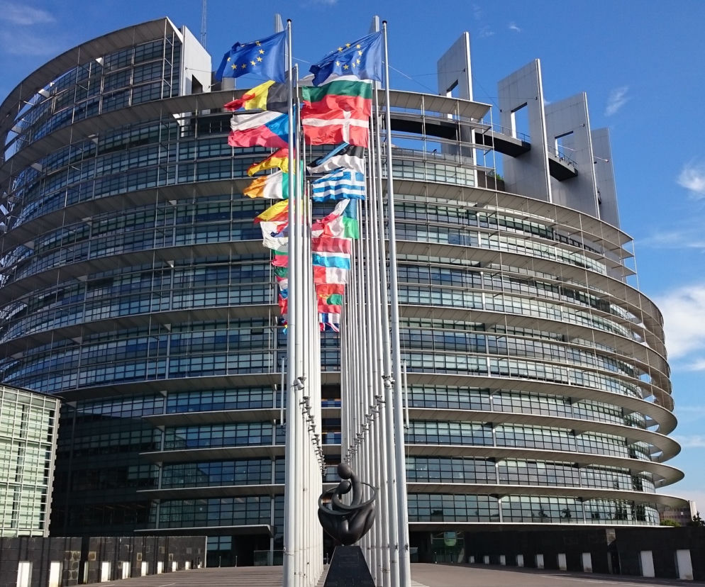 Pierwsze sondażowe wyniki wyborów do Parlamentu Europejskiego. Okręg 3
