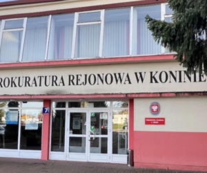 Są zarzuty dla kobiety znęcającej się nad koniem
