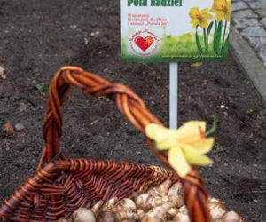 Fundacja Pomóż Im. Po raz dziesiąty zaczęli siać Pola Nadziei [ZDJĘCIA]