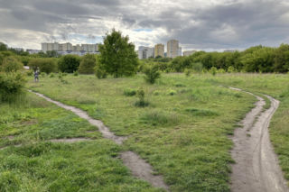 Za działkę zapłacisz tyle co za mieszkanie. Działek na sprzedaż jednak jest coraz mniej