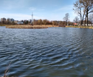 Białystok. Stawy Marczukowskie zachęcają do spacerów