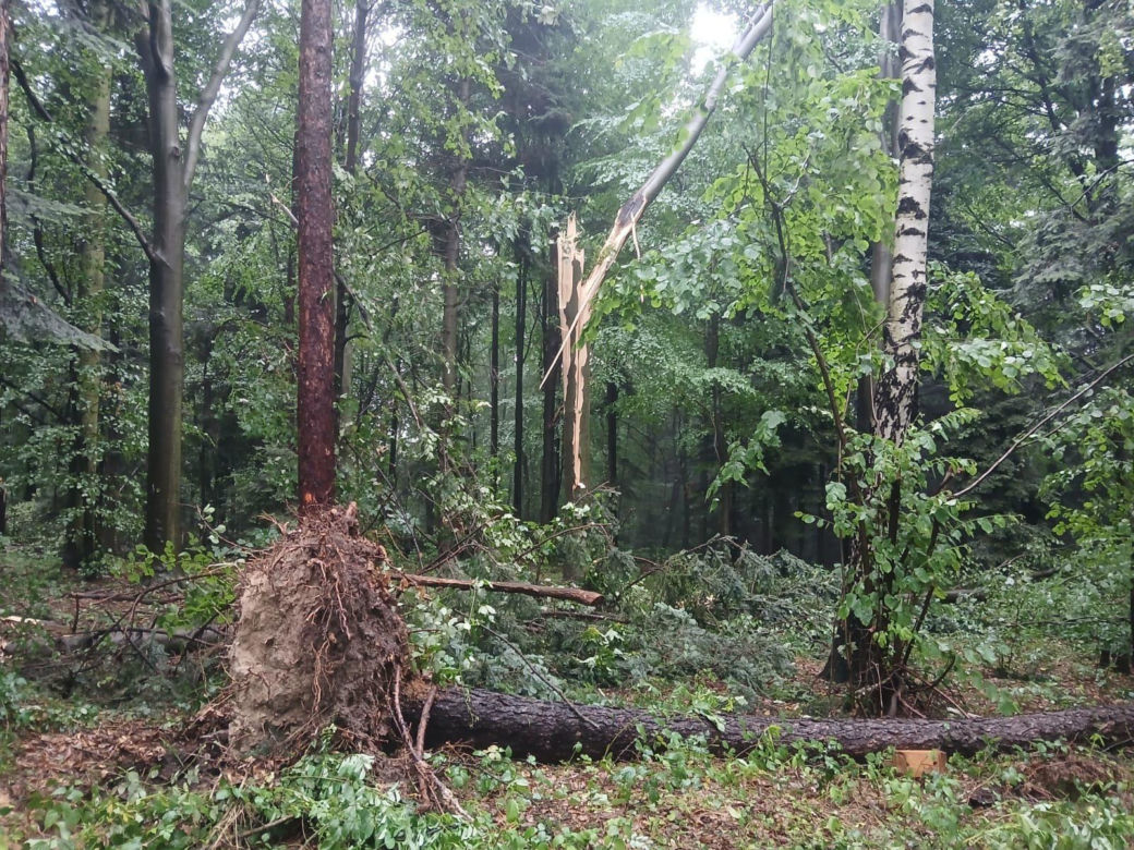 Nawałnice w Małopolsce. Setki interwencji straży pożarnej